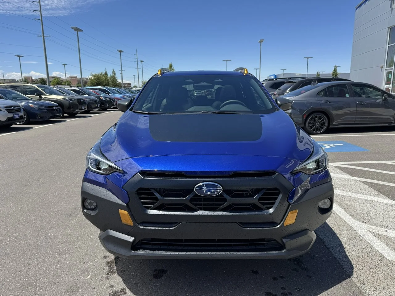 New 2026 Sapphire Blue Pearl Subaru Wilderness image 2