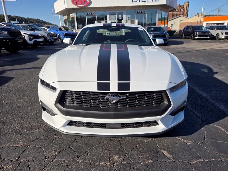 New 2026 Oxford White Ford EcoBoost® Premium Fastback image 2