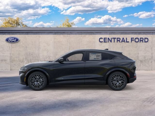 New 2026 Shadow Black Ford Premium image 3