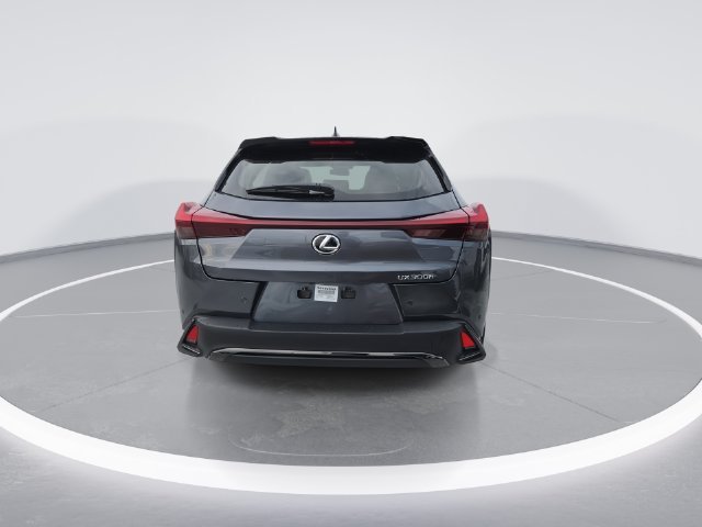 New 2026 Cloudburst Gray with Obsidian roof Lexus F SPORT DESIGN image 7