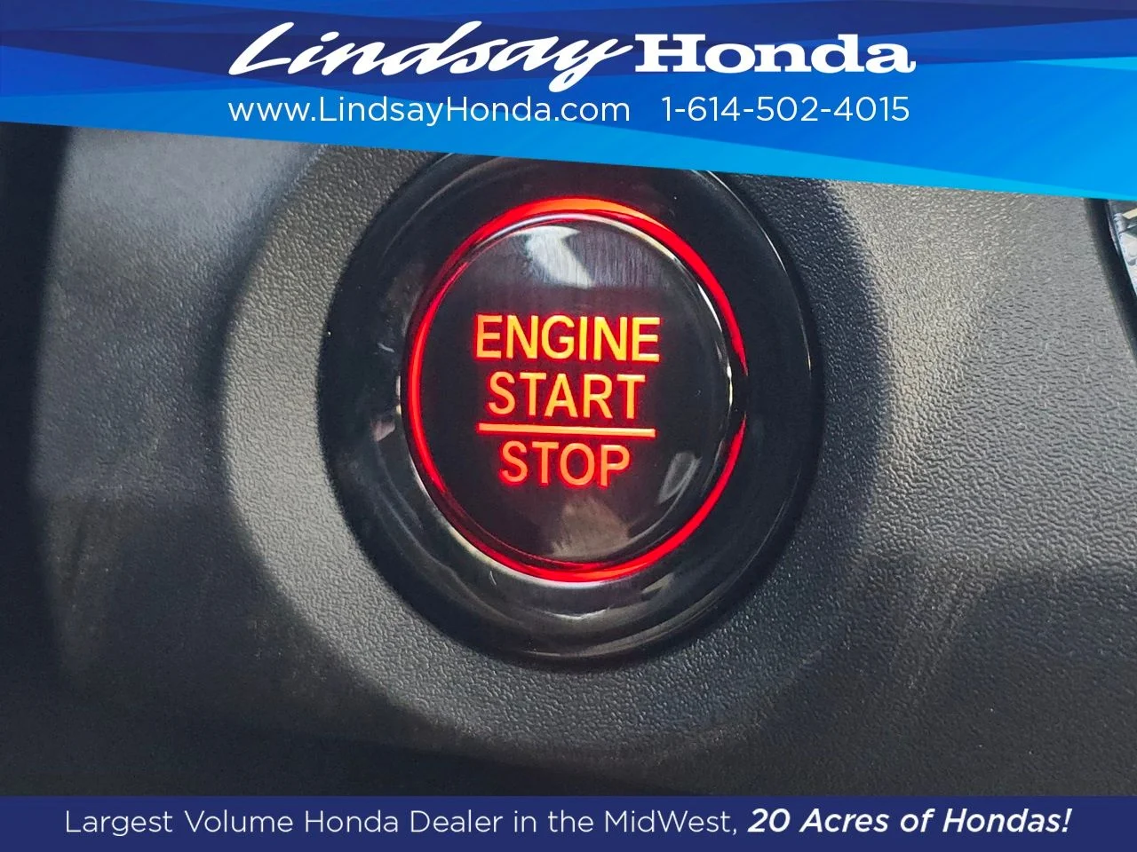 New 2026 Platinum White Pearl Honda LX image 20