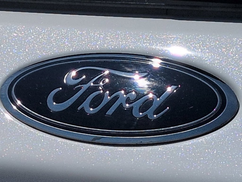 Used 2023 WHITE Ford XLT image 29