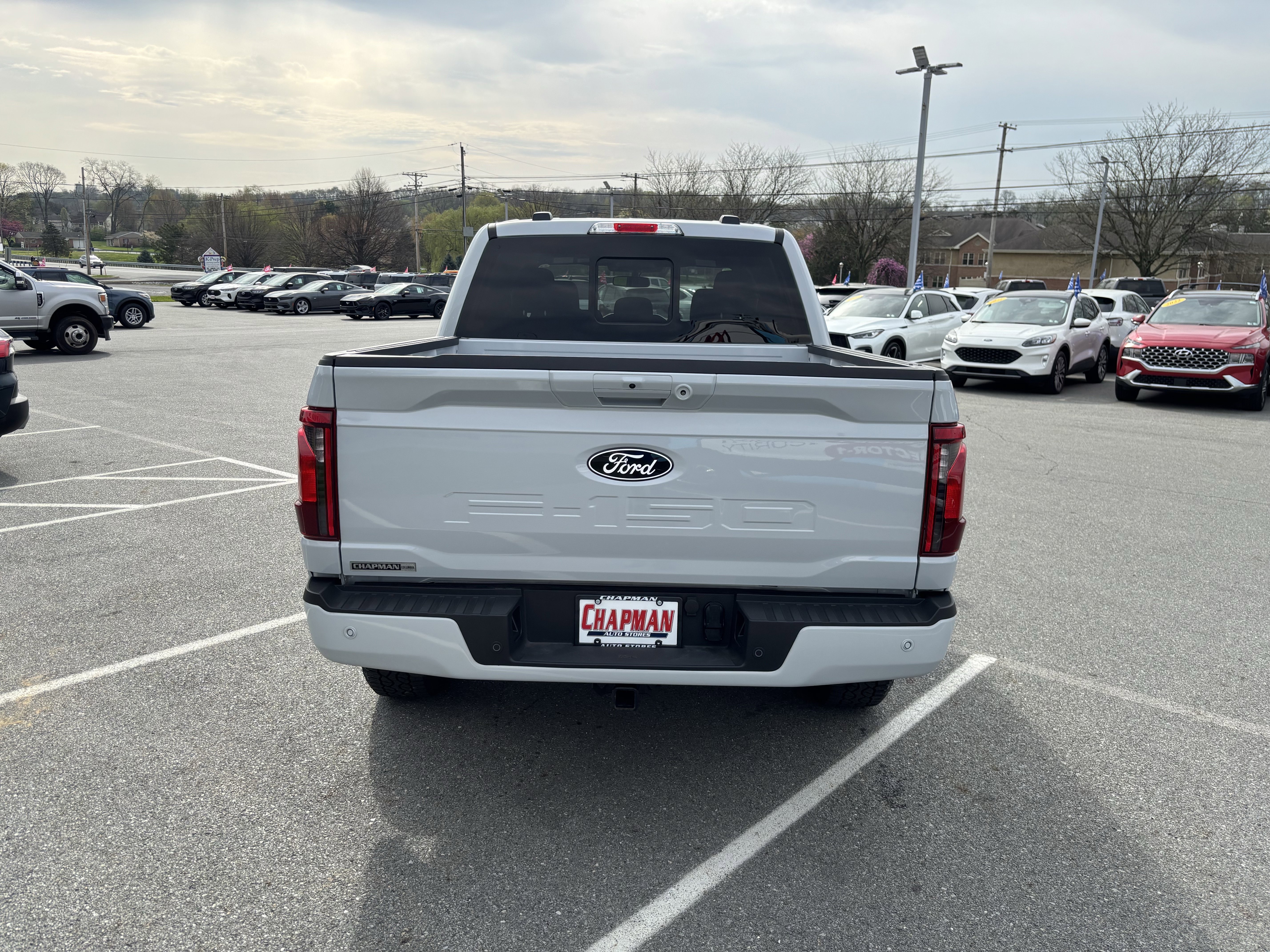 2025 Ford F-150 XLT - Photo 6