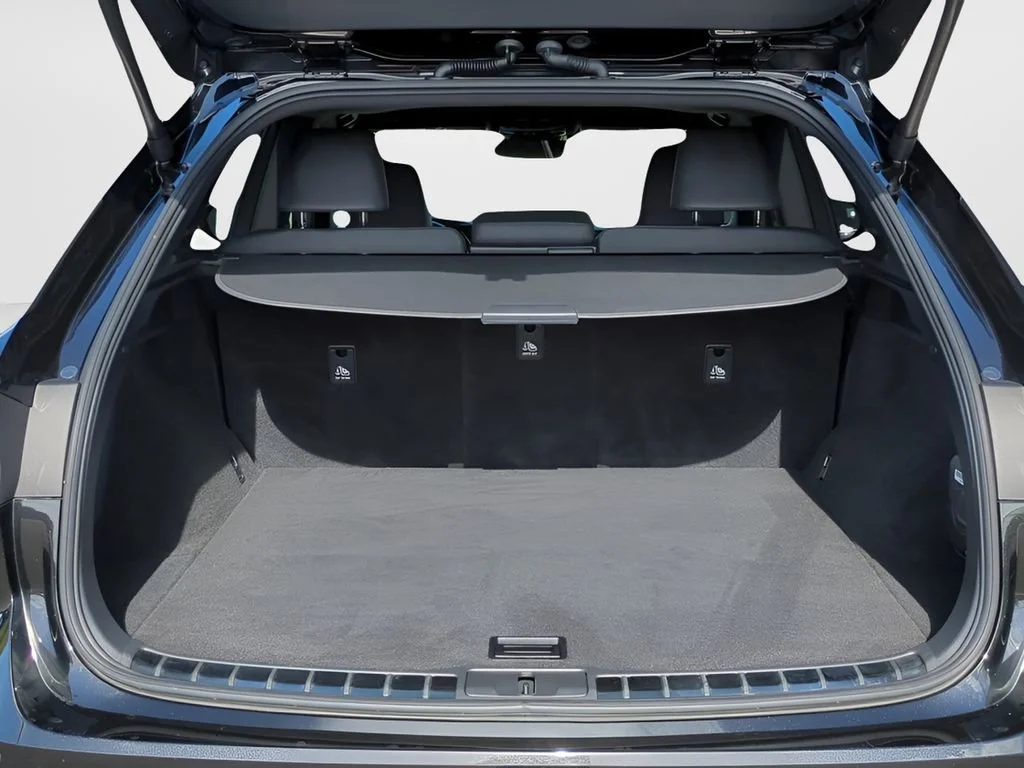 Used 2024 Black Lexus Premium Plus image 13