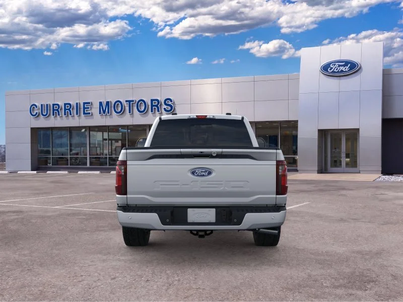 New 2026 Iconic Silver Metallic Ford LIFTED image 25