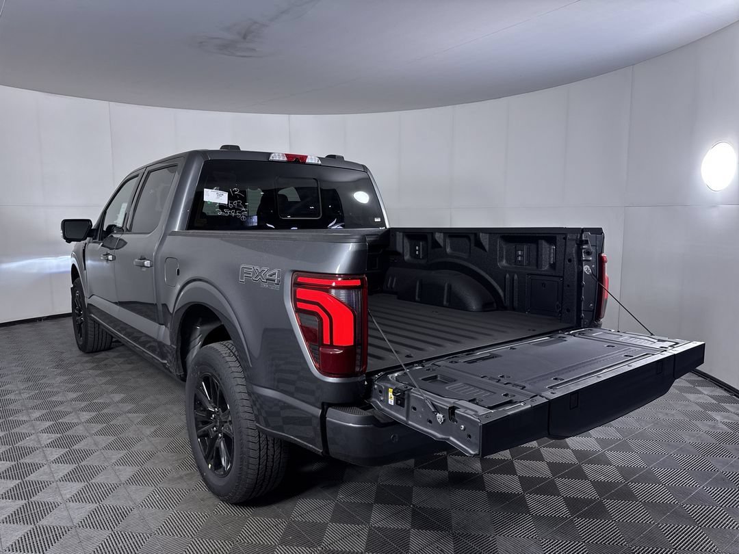 New 2026 Carbonized Gray Metallic Ford Platinum image 26