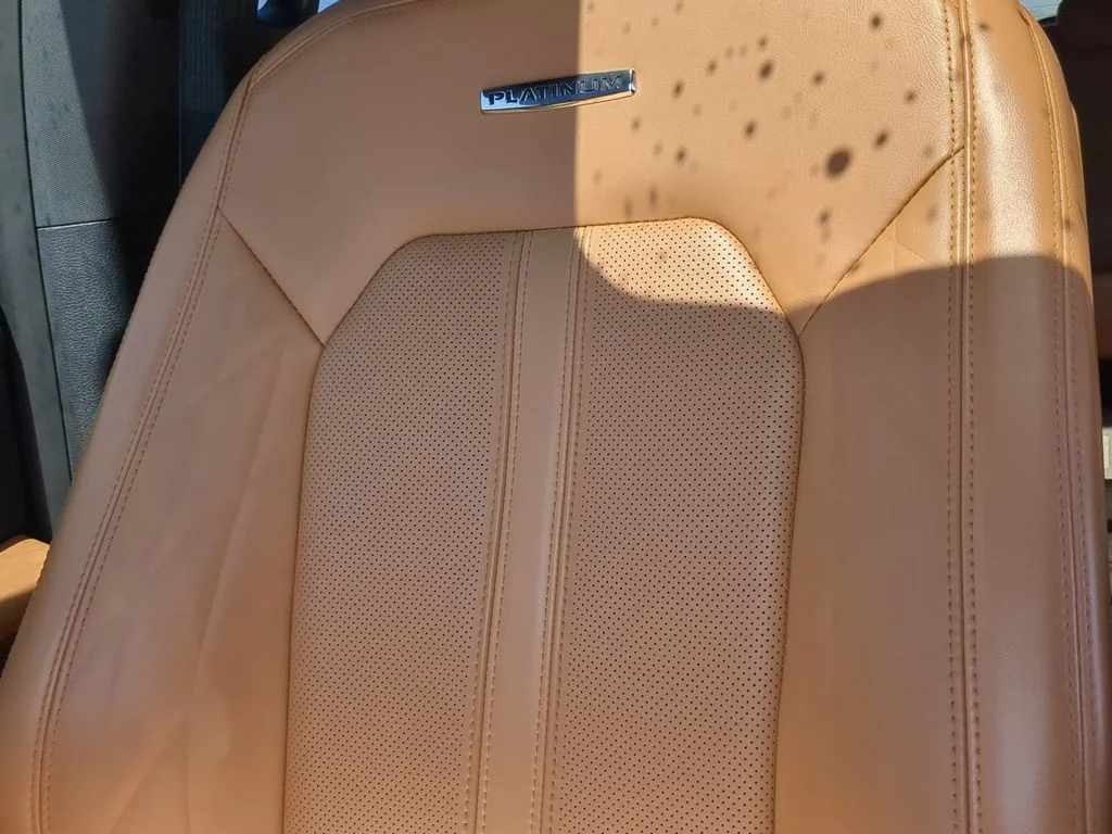 Used 2022 Blue Ford Platinum image 24
