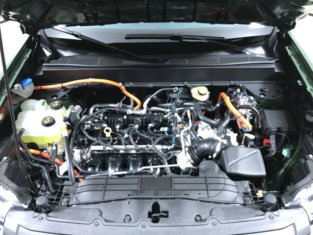 New 2025 ERUPTION GREEN Ford XLT 2.5L Hybrid Super Crew Cab image 12