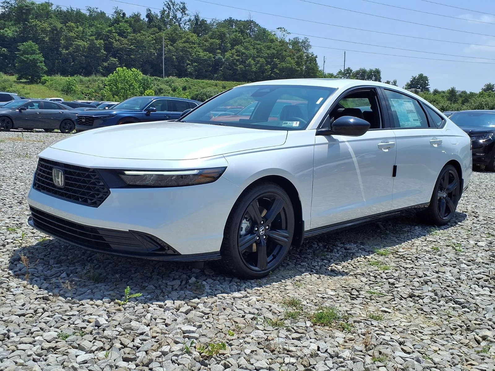 New 2026 Platinum White Pearl Honda Sport-L image 3
