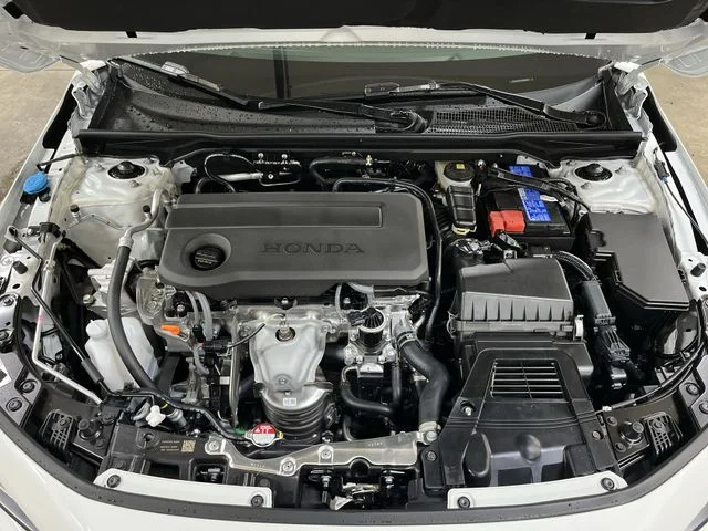 New 2026 Platinum White Pearl Honda LX image 19