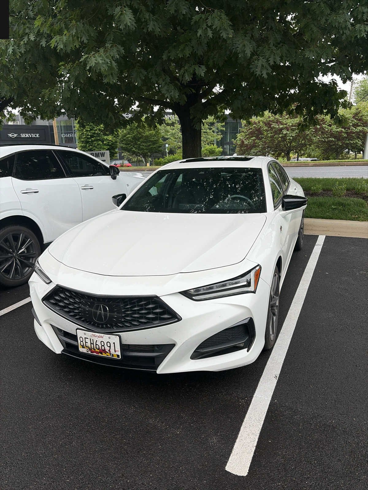 2021 Acura TLX 2.0 Auto SH-AWD A-SPEC Package's photo