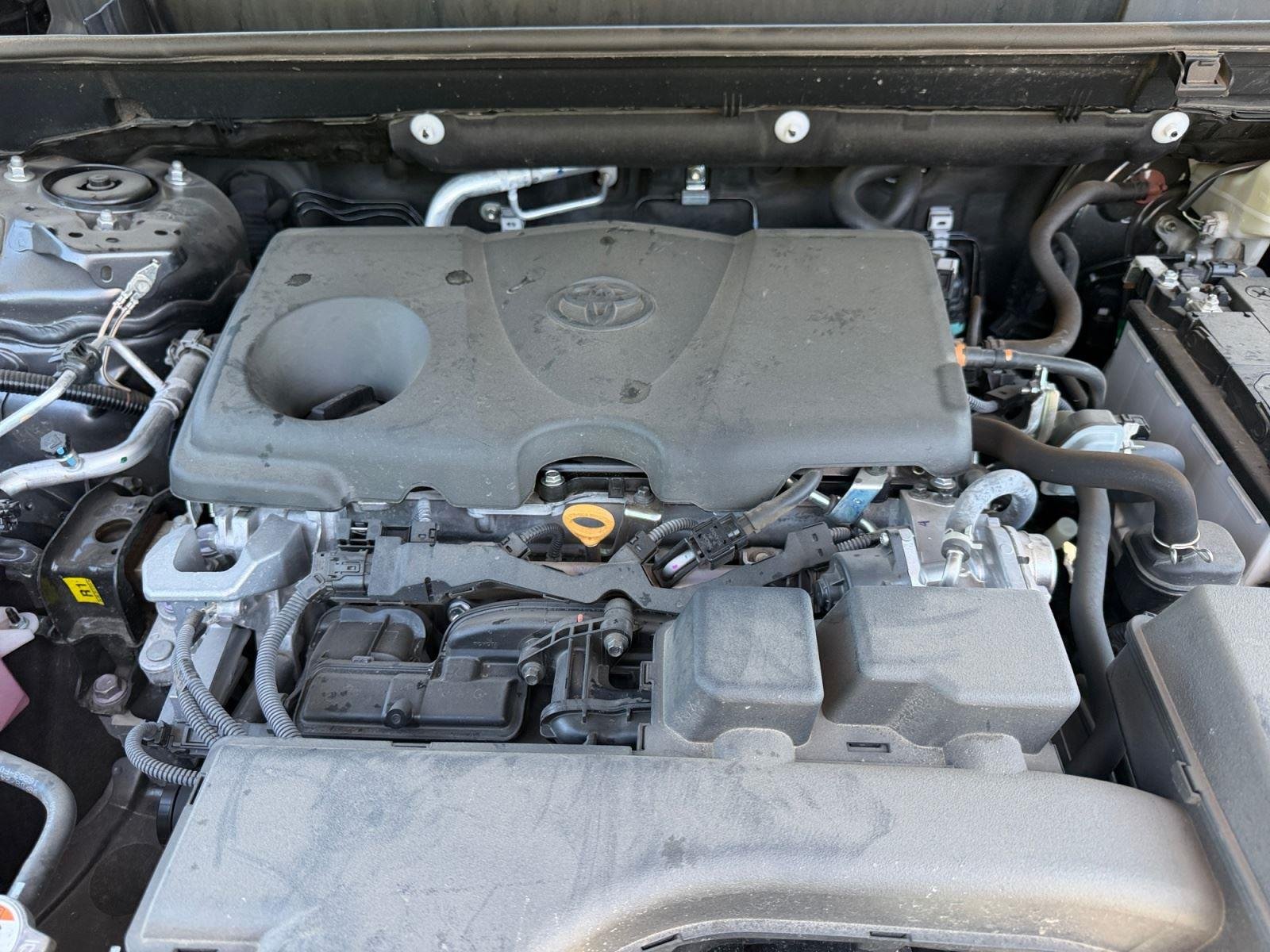 2024 Toyota RAV4 LE - Photo 20