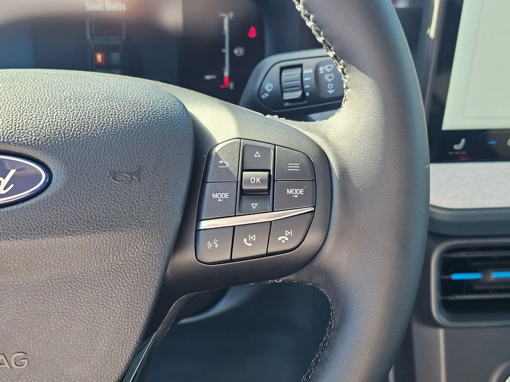 New 2025 Eruption Green Ford XLT image 26