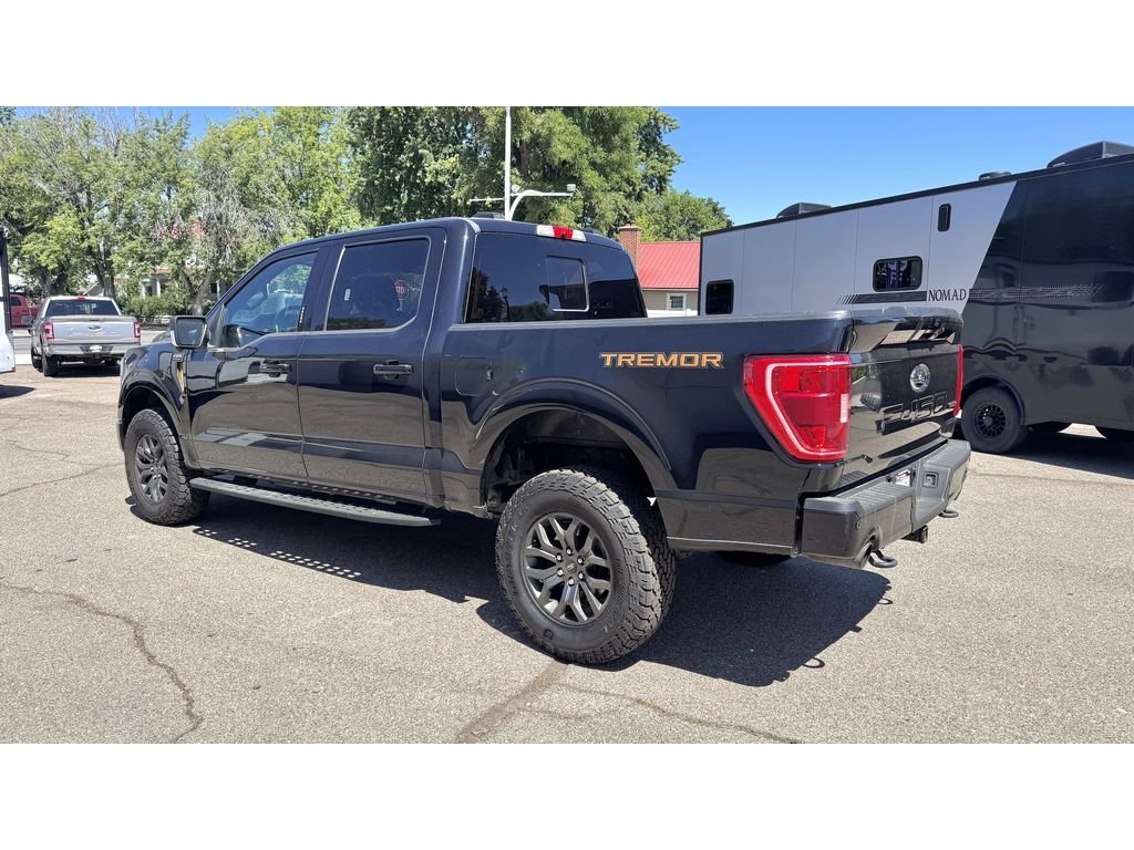 2021 Ford F-150 Tremor - Photo 7