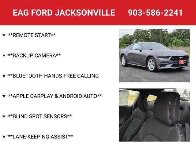 New 2026 Carbonized Gray Metallic Ford EcoBoost® Fastback image 48
