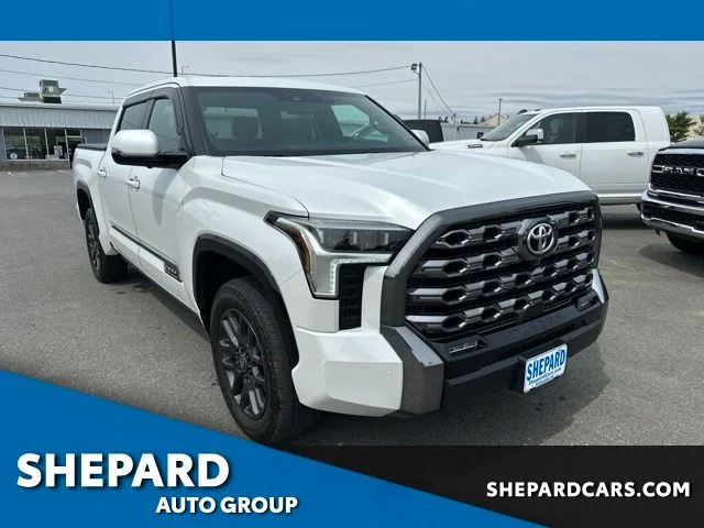 Used 2025 Beige Toyota Platinum image 1