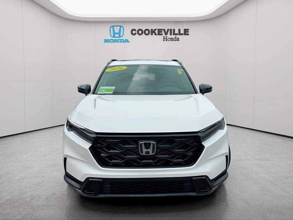 Used 2026 Platinum White Pearl Honda Sport image 3
