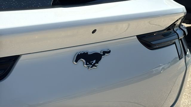 Used 2025 White Ford Premium image 10