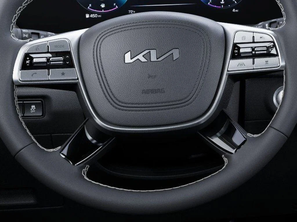 2025 Kia Telluride SX Prestige X-Line - Photo 22