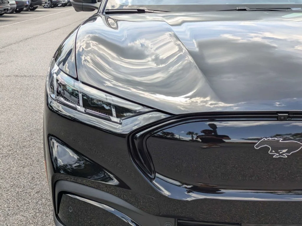 New 2026 Shadow Black Ford Premium image 10