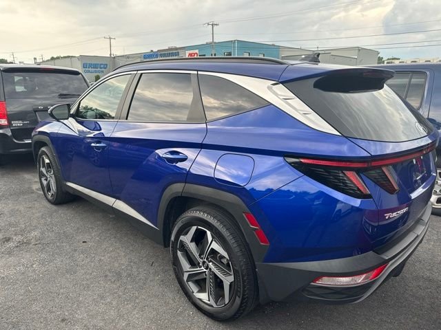 Used 2023 Blue Hyundai SEL image 4