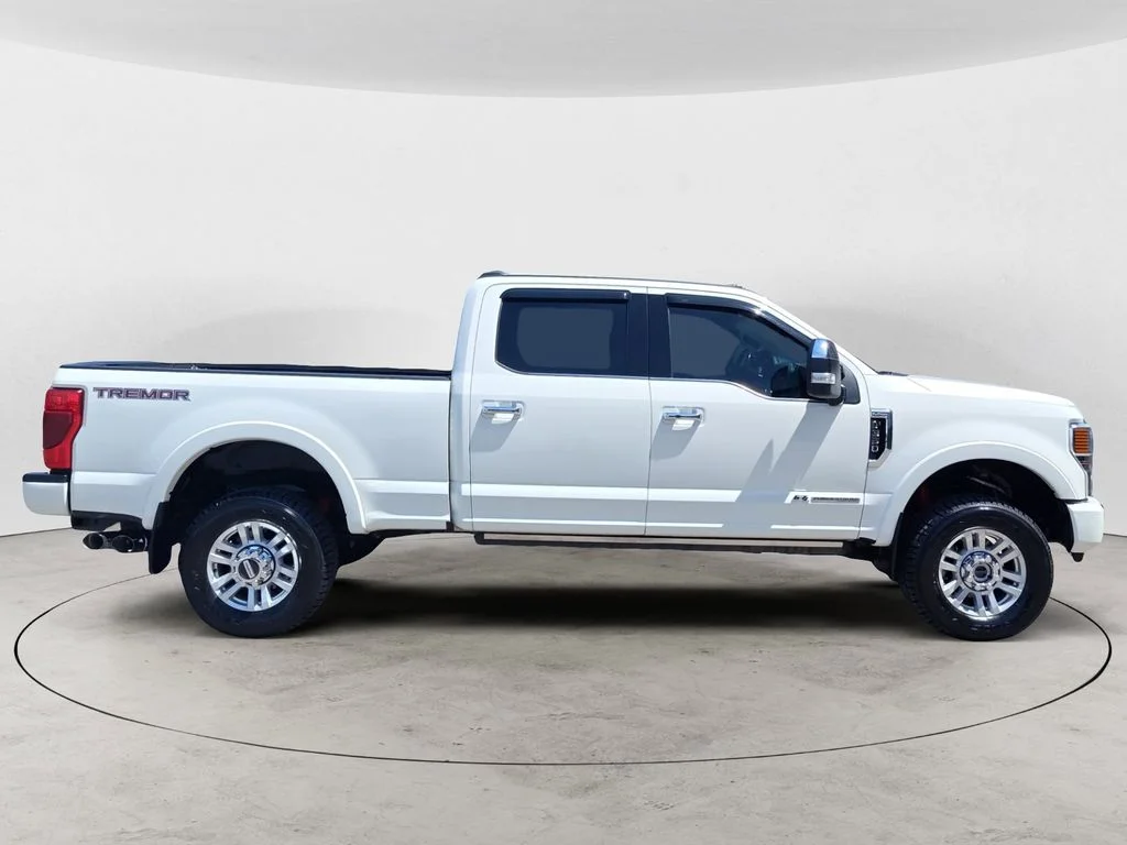 Used 2020 White Ford Platinum image 6