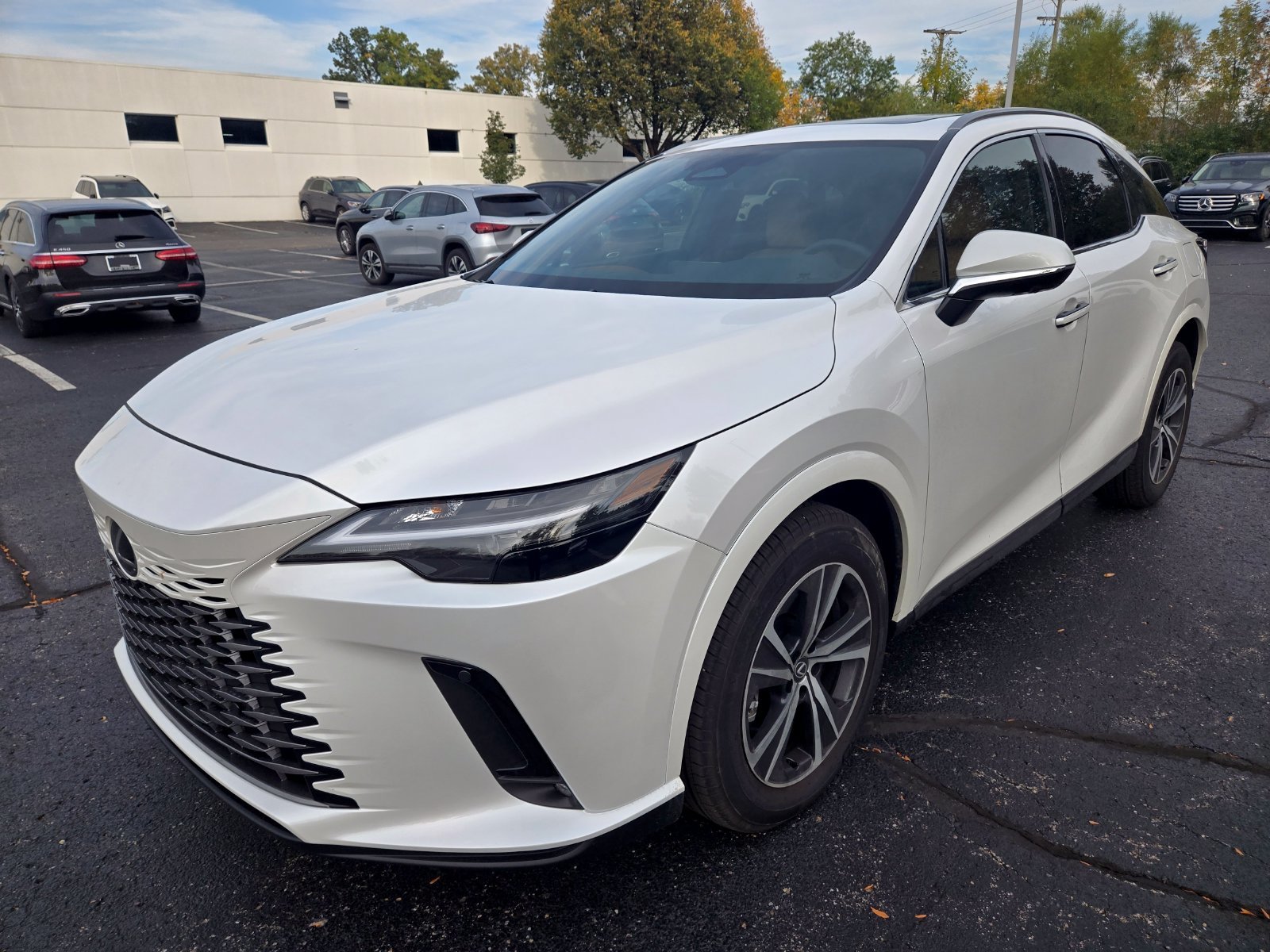2025 Lexus RX