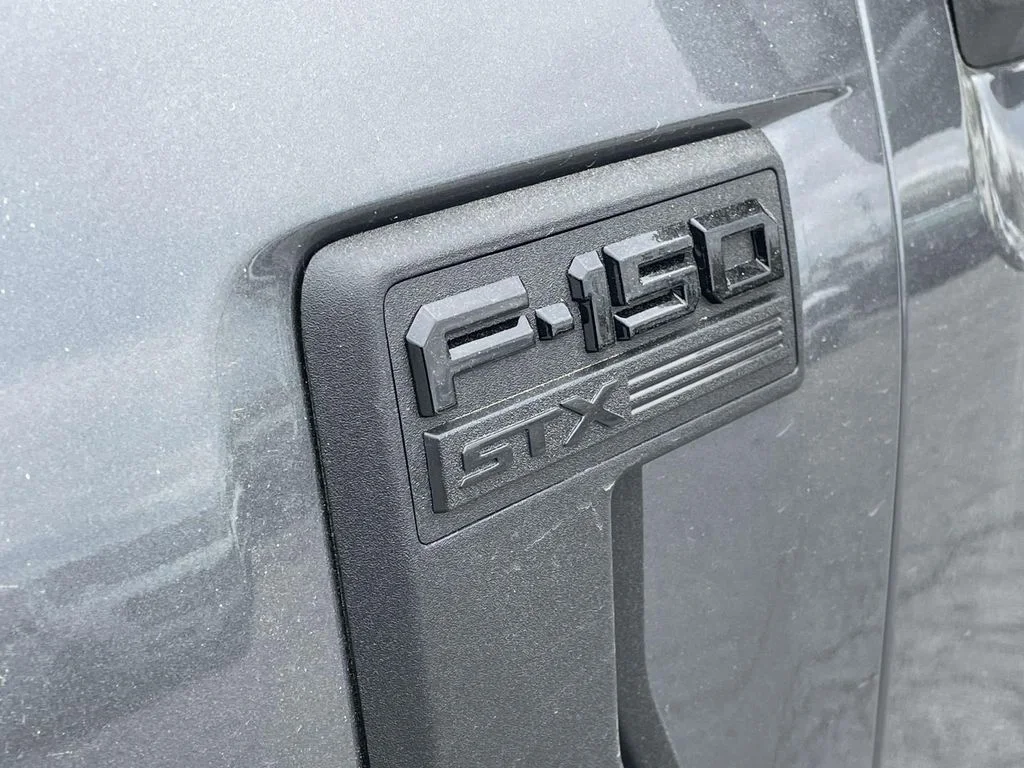 New 2026 Gray Ford STX image 7