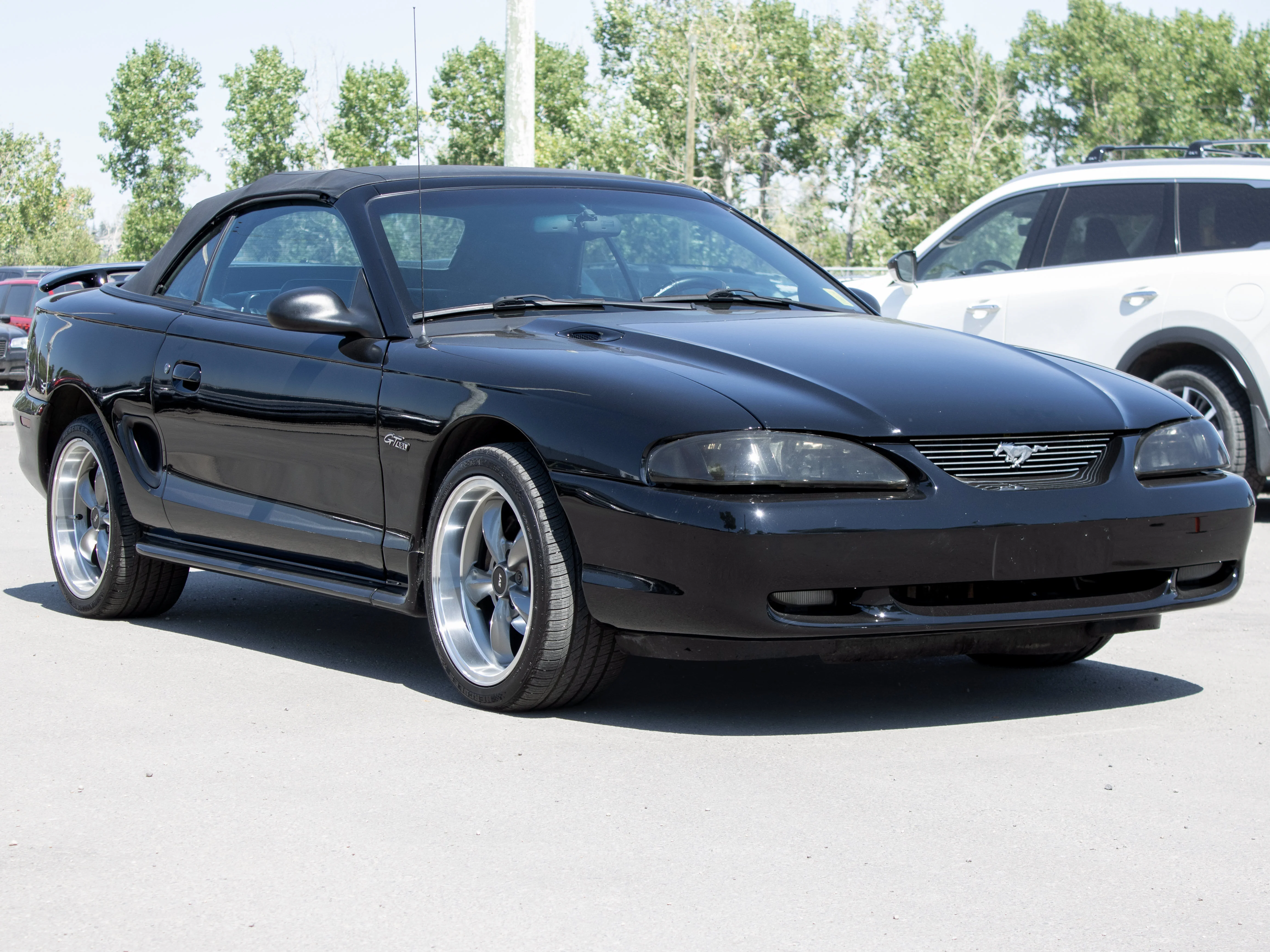Used 1997 Black Ford GT* Convertible | 4.6L V8 | 5-Speed Manual | SVT Wheels | image 11