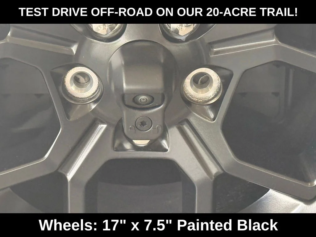 New 2026 Black Clear-Coat Exterior Paint Jeep Willys image 34