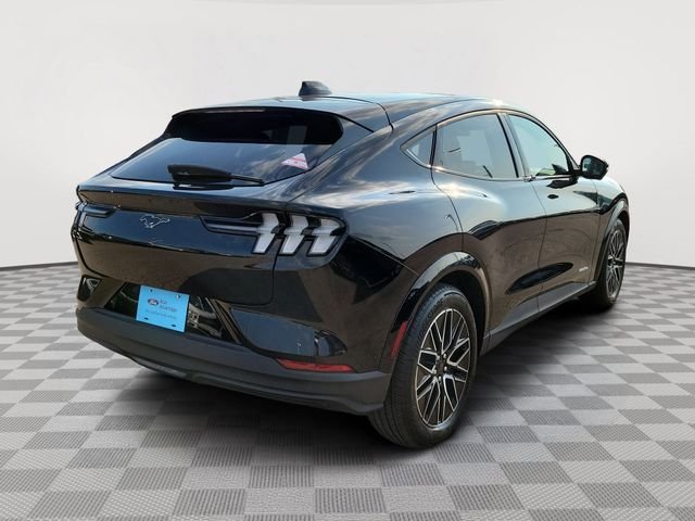 Certified Used 2025 Shadow Black Ford Premium image 5