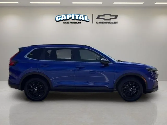 Used 2024 Blue Honda Sport image 9