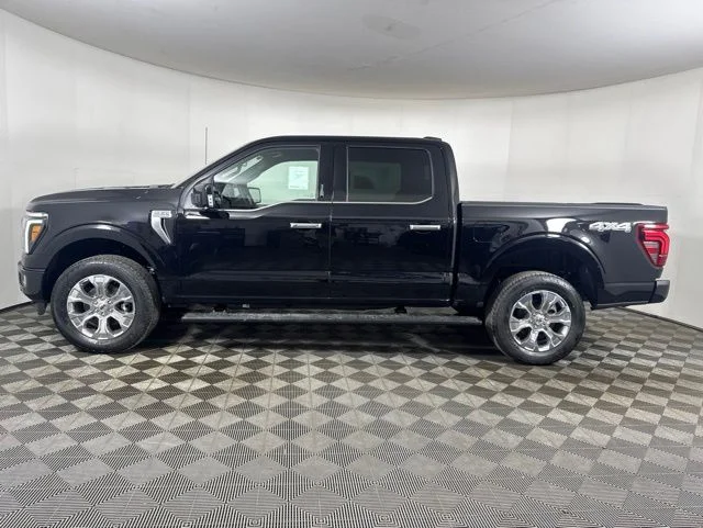New 2026 Agate Black Metallic Ford Platinum image 5