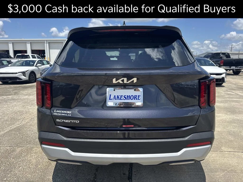 New 2026 Panthera Metal Kia LX image 5