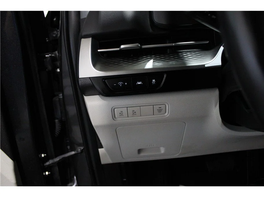 Used 2024 Panthera Metal Kia LX image 22