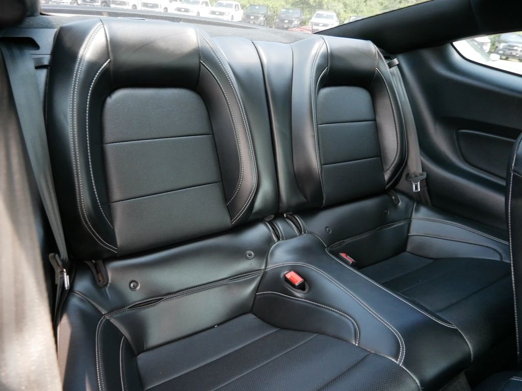 Used 2019 Black Ford GT Premium image 13