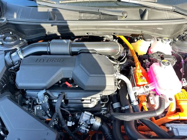Certified Used 2026 Fusion Orange Kia EX image 28