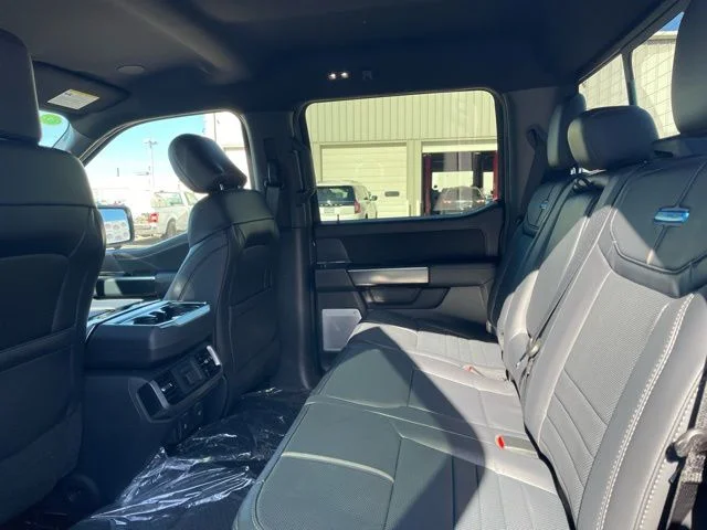 New 2026 Carbonized Gray Metallic Ford Platinum image 9