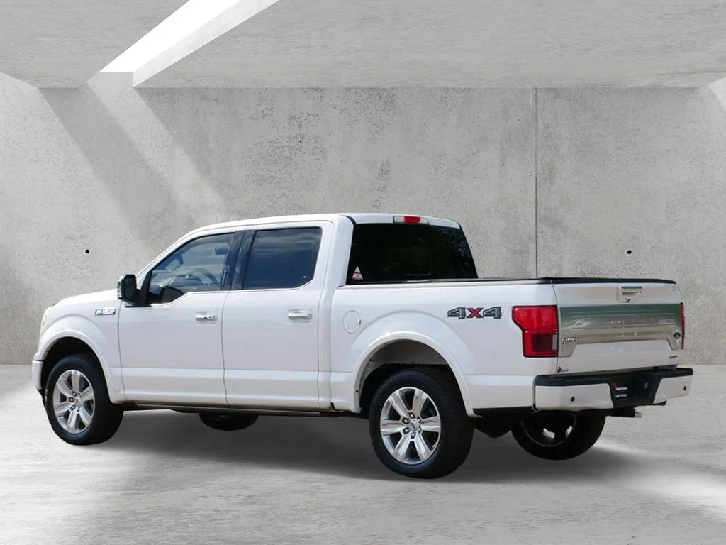 Used 2018 White Ford Platinum image 3