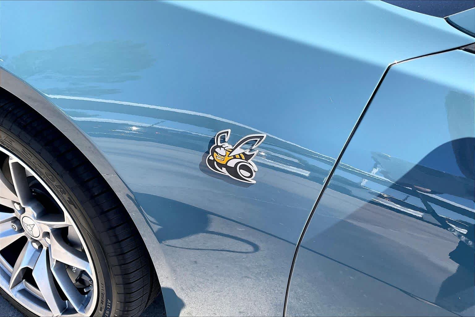 New 2026 Sub-Zero Exterior Paint Dodge Scat Pack image 15