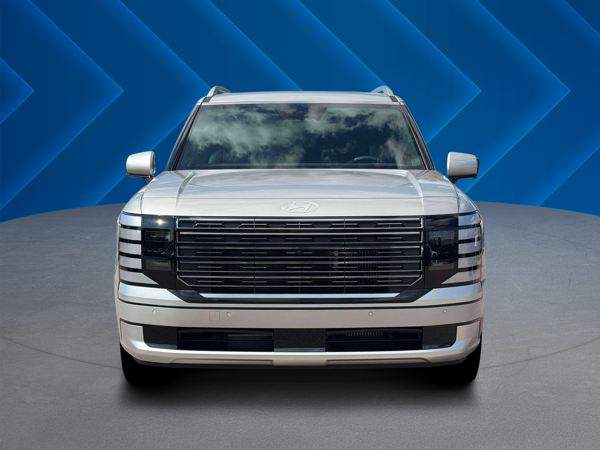 New 2026 Typhoon Silver Metallic Hyundai Calligraphy image 33