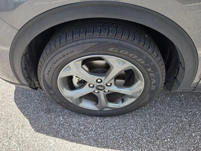 Photo 4
