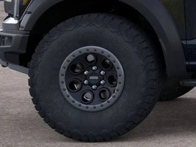 New 2025 Black Metallic Ford Raptor image 19
