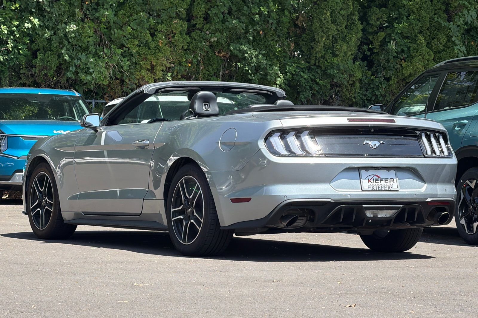 2023 Ford Mustang EcoBoost Premium - Photo 6