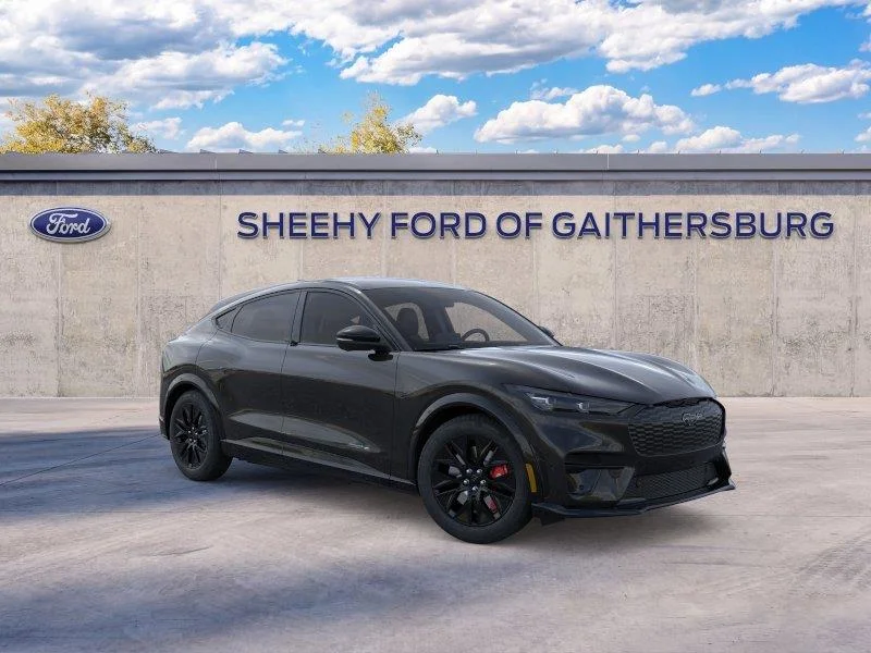 New 2025 Shadow Black Ford Premium image 7