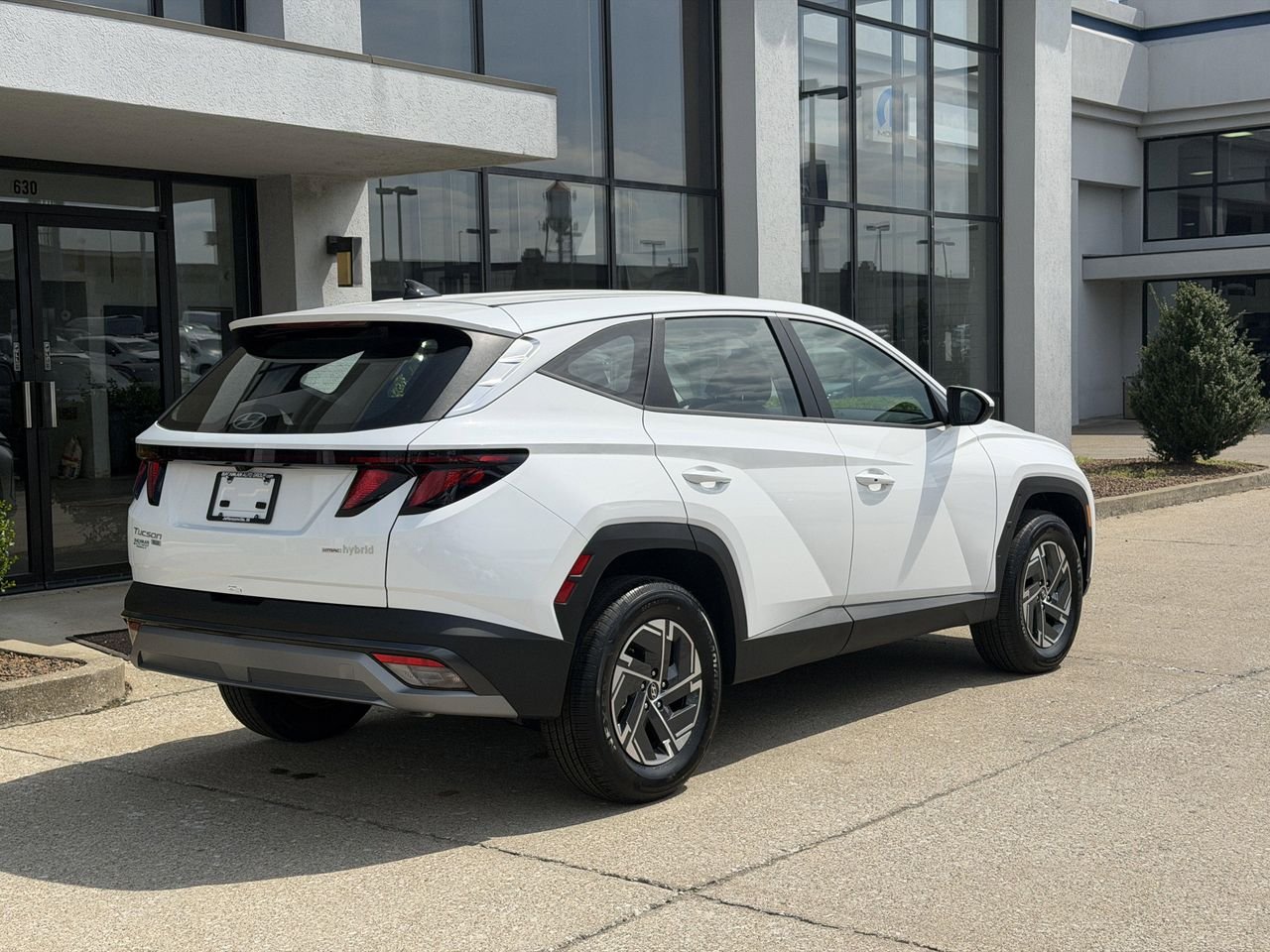 New 2026 Creamy White Pearl Hyundai Blue image 4