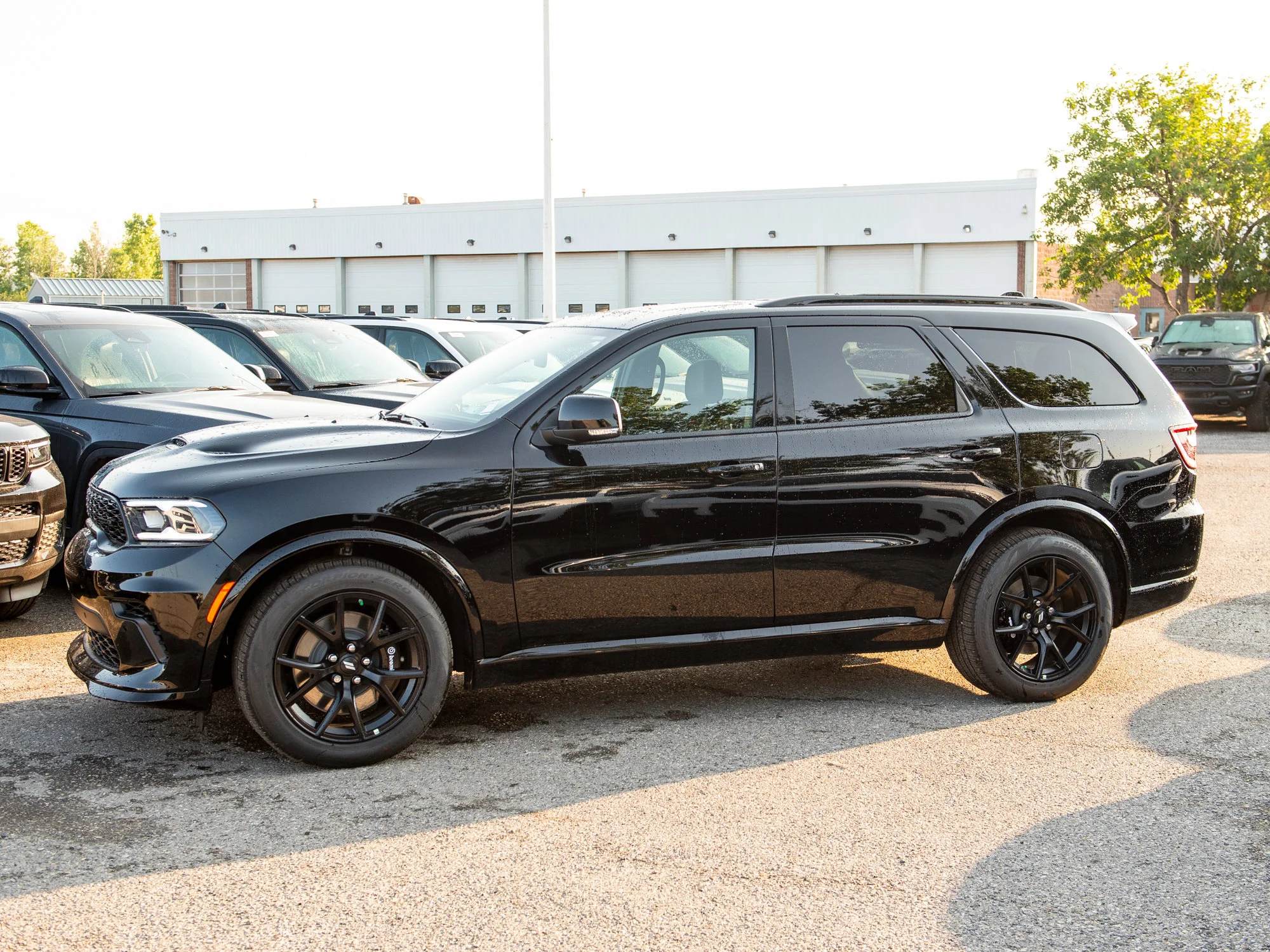 New 2026 Black Dodge GT Plus* HEMI V8 AWD* image 3