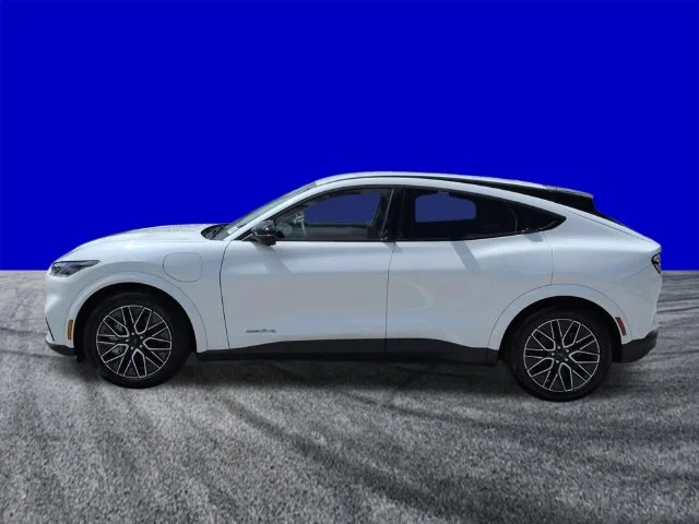 New 2026 Star White Metallic Tri-coat Ford Premium image 7