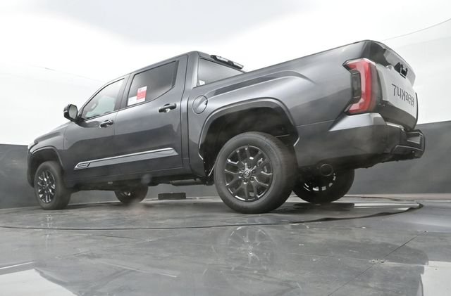 New 2026 Magnetic Gray Metallic Toyota Platinum image 25