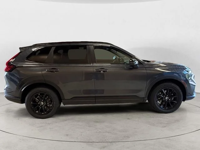 New 2026 Meteorite Gray Honda Sport-L image 6